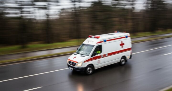 czujka-dymu-pod-ka--d---strzech----bezpiecze--stwo-auto-1030