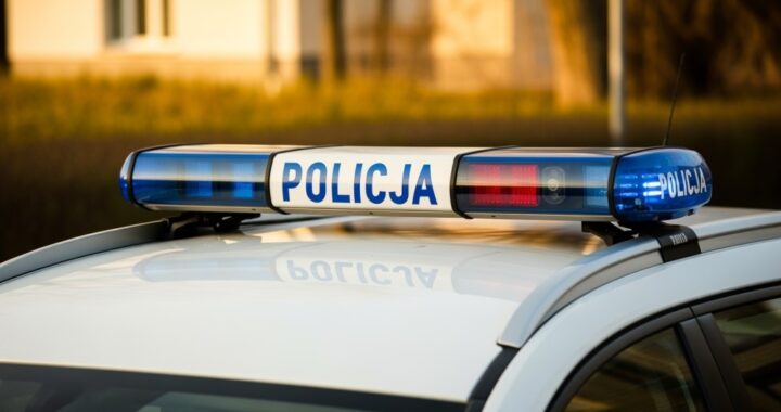 bezpiecze--stwo-w-dobryninie--policja-podejmuje-dz-auto-6615