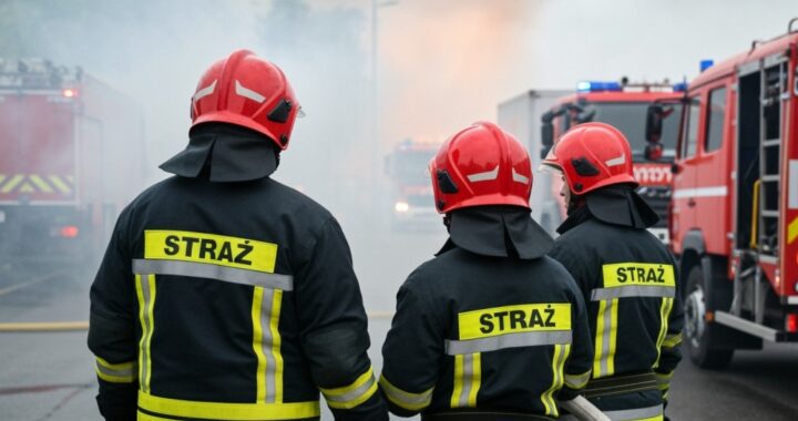 po--ar-kombajnu-i-niebezpieczne-drzewo-----interwe-auto-1226